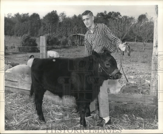 1956 Press Photo Good Provider 2nd place winner Charles Taylor with his calf - Historic Images