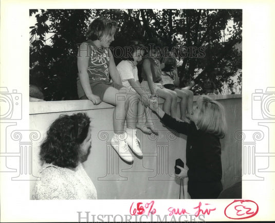 1993 Press Photo Tipper Gore shakes hands with a wall of fans on Audubon St - Historic Images