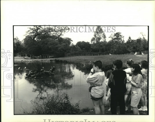 1992 Press Photo French exchange students visit the pelican exhibit at the zoo - Historic Images