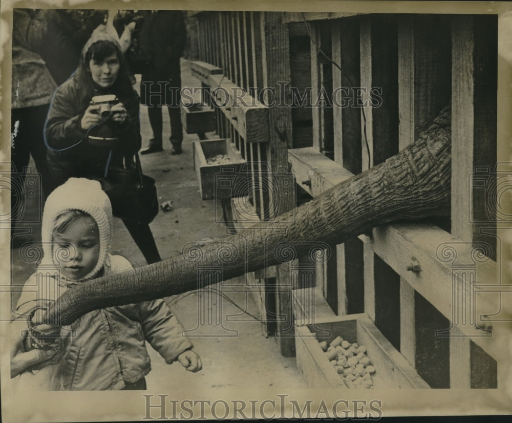 1967 Press Photo Robin Fleischer greets baby elephant at Nashville Avenue Wharf - Historic Images