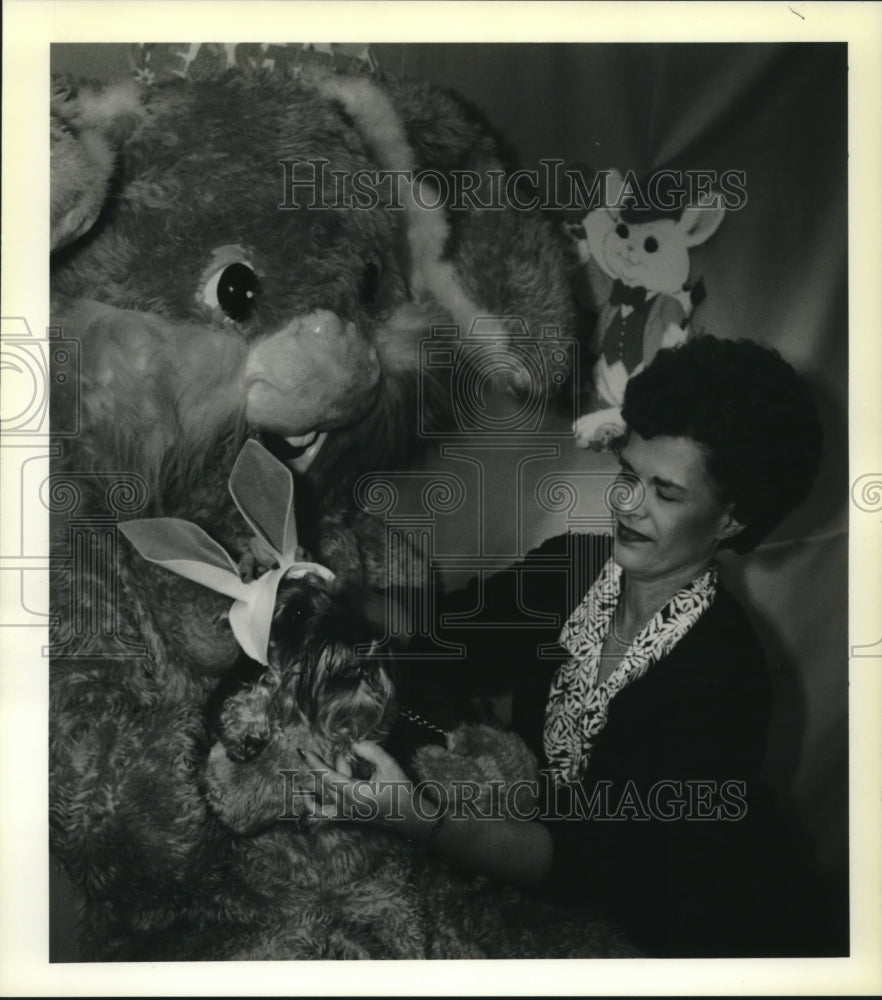 1990 Press Lurlyn Gonzales arranges bunny ears on her Schnauzer Dudley - Historic Images