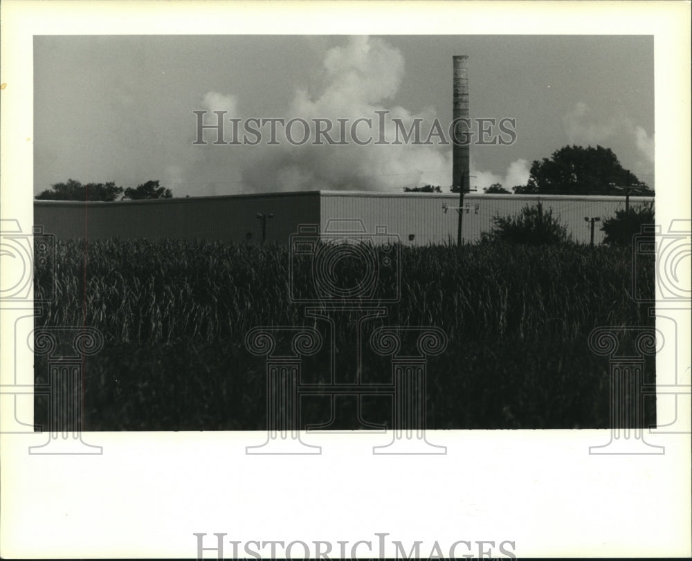 1994 Press Photo The Fruit of the Loom plant. - Historic Images