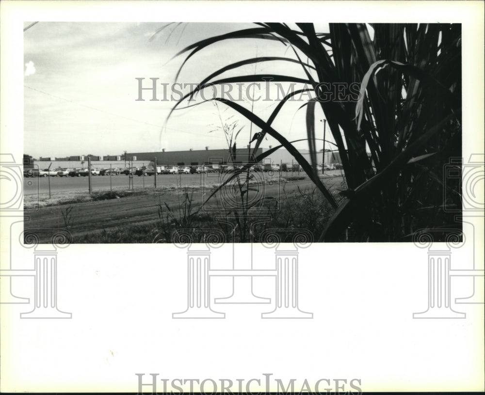 1994 Press Photo Cars fill the parking lot of the Fruit of the Loom plant. - Historic Images