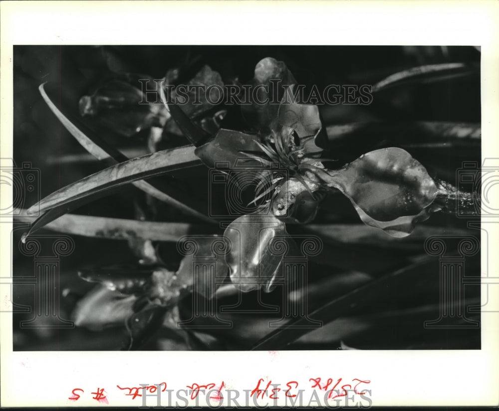 1990 Press Photo Close up of a metal flower in the sculptured copper fountain - Historic Images
