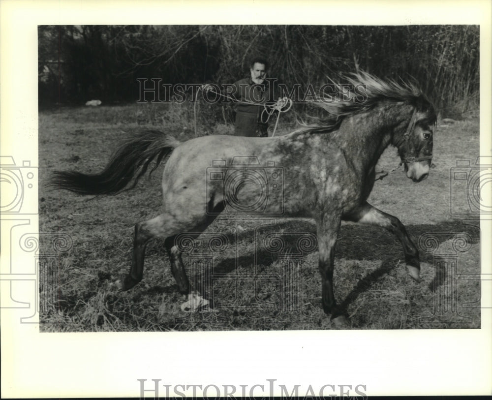 1989 Press Photo Philip Geogracia and horse confiscated by St. Bernard Parish - Historic Images