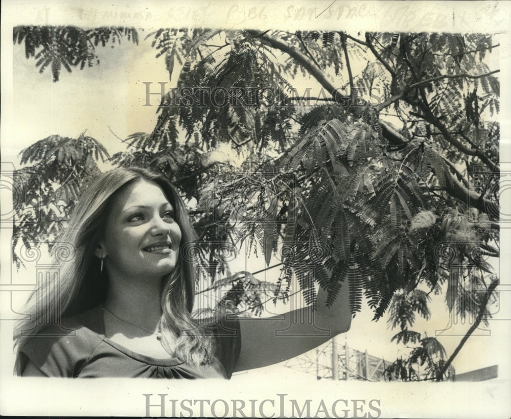 1977 Press Photo Rosemary Gibson examines a mimosa tree - nob21237 - Historic Images