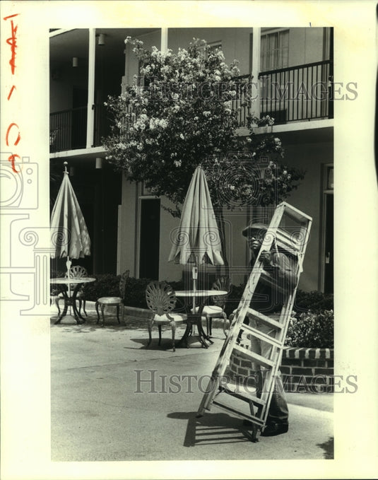 1988 Press Photo William Greenward with his ladder in the garden court - Historic Images
