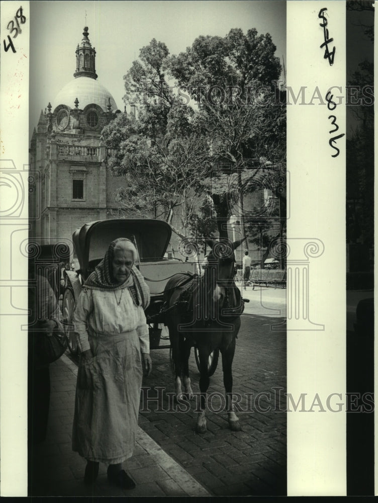 1983 Press Photo Scene with Cathedral of Guadalajara in background - nob21791 - Historic Images