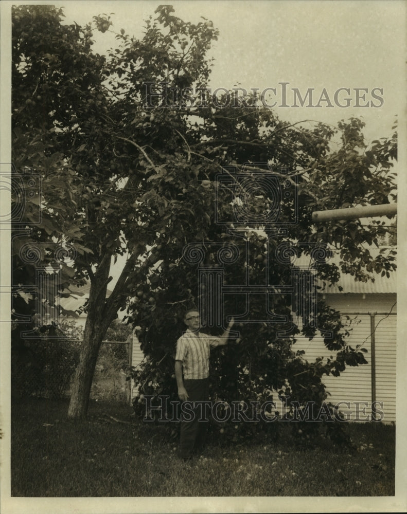 1969 Press Photo Samuel Gulotta shown under a tree - nob21961 - Historic Images