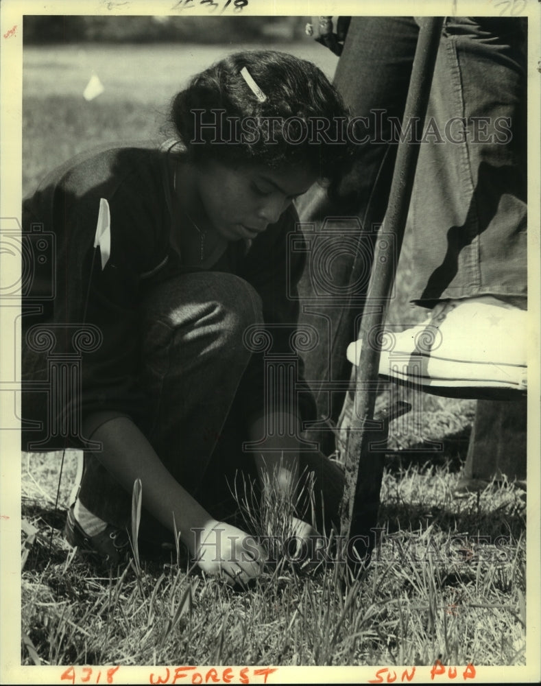 1980 Press Photo Seedling planted by continuing education science student. - Historic Images