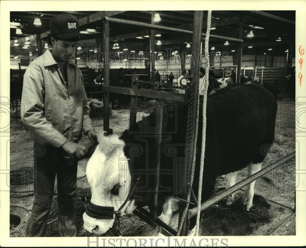 1989 Press Photo Audie Baham With Bull at Greater New Orleans Livestock Classic - Historic Images