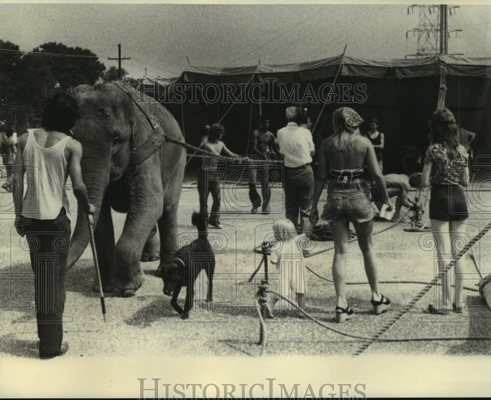 1975 Press Photo Elephant at work, Great London Circus - nob22941 - Historic Images