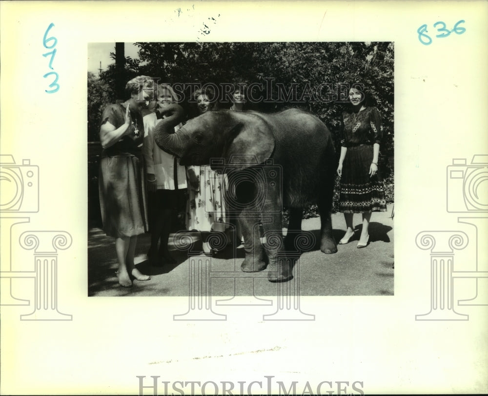 1988 Press Photo Local Republican Party members visit GOP mascot at Audubon Zoo - Historic Images