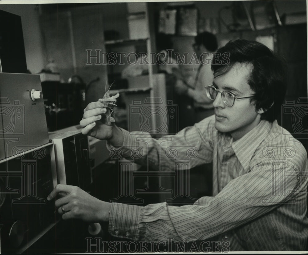 1974 Press Photo Bob Hammond holds a crawfish in his hand - nob24193-Historic Images