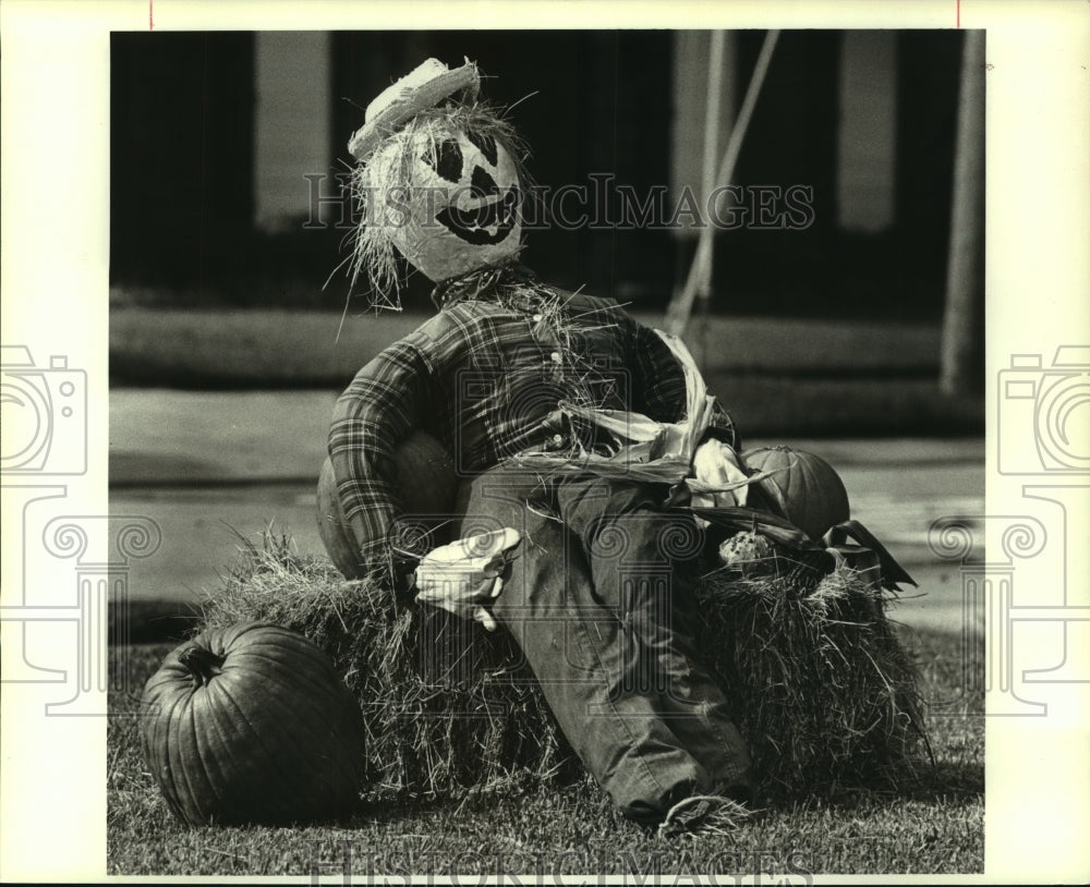 1988 Press Photo Gholish straw stuff scarecrow at home in 4400 Cleary Avenue - Historic Images