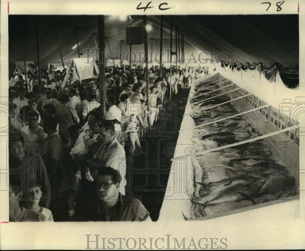 1968 Press Photo Grand Isle Tarpon Rodeo visitors - nob24401 - Historic Images