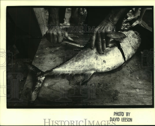 1982 Press Photo Grand Isle Tarpon Rodeo - A worker shown cutting a tarpon - Historic Images