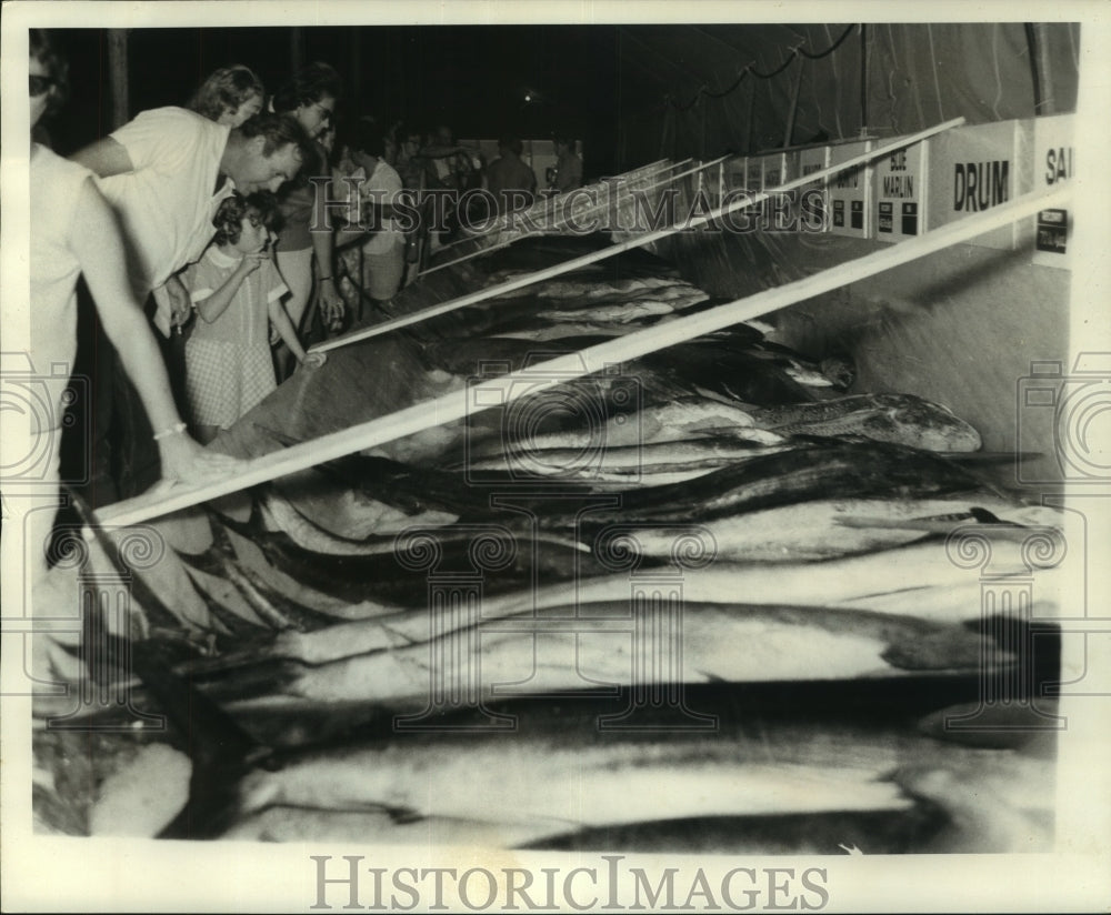 1968 Press Photo Grand Isle Tarpon Rodeo - nob24414 - Historic Images