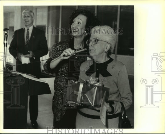 1991 Press Photo St. Tammany Art Association's 26th Annual Juried Exhibit - Historic Images