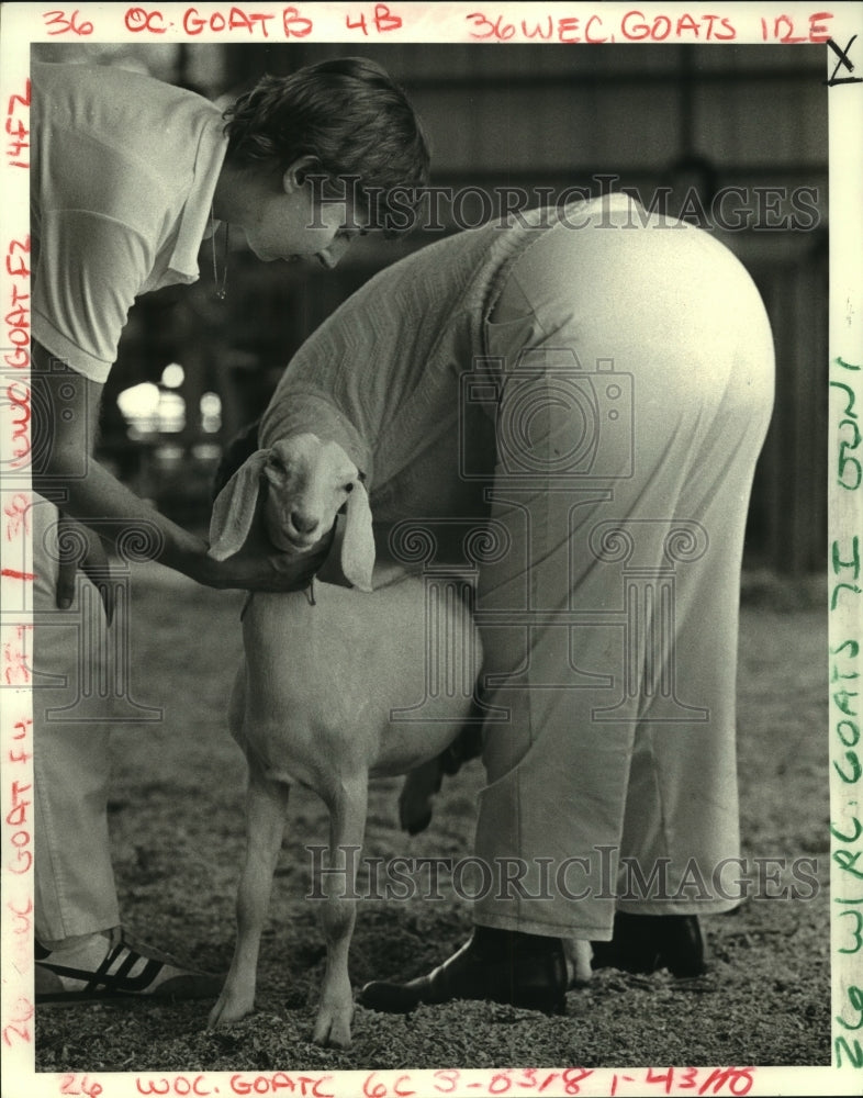 1986 Press Photo Osborne and one of her goats evaluated by a judge - nob24581 - Historic Images