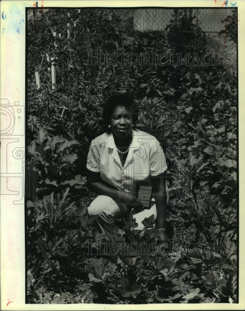 1988 Press Photo Jerry Gethers in her garden at 1552 Harrison Avenue - nob24820 - Historic Images