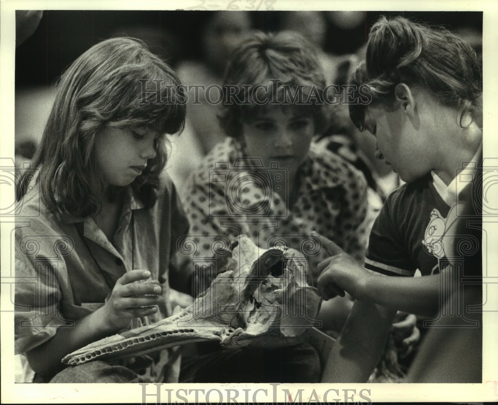 1986 Press Photo 2nd annual overnight camp-in at Louisiana Nature &amp; Science Ctr - Historic Images