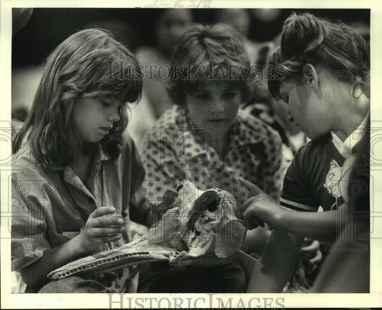 1986 Press Photo 2nd annual overnight camp-in at Louisiana Nature & Science Ctr - Historic Images