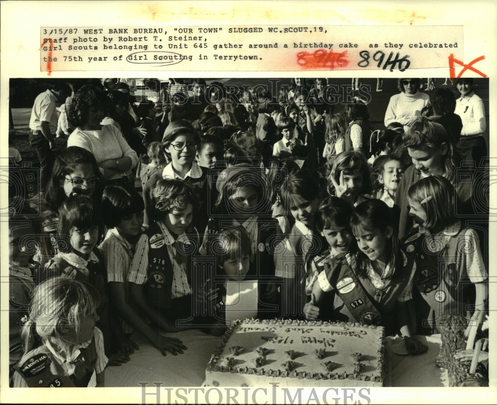 1987 Press Photo Unit 645 at 75th year celebration of Girl Scouting, Terrytown - Historic Images