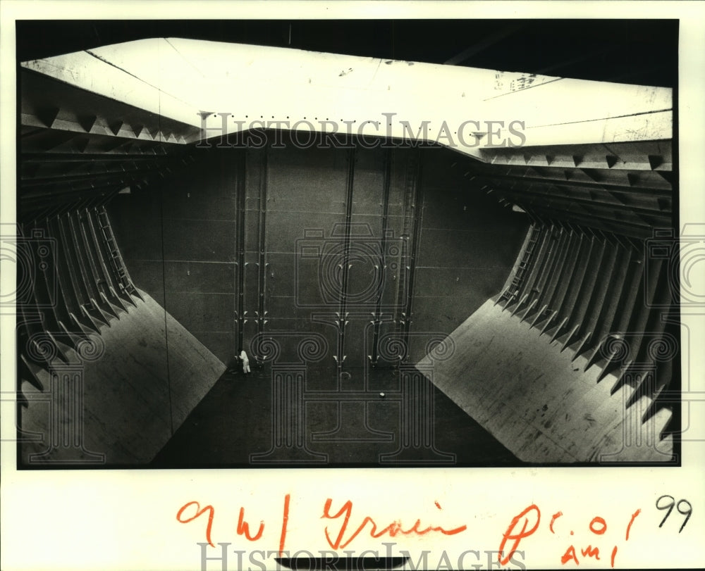 1981 Press Photo Grain inspector inside a cargo container aboard Golden Sabre - Historic Images