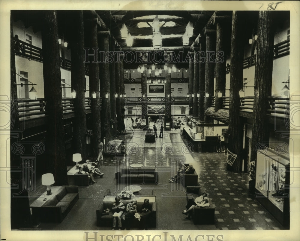 1975 Press Photo View from the top of Glacier Park Lodge showing huge pillars - Historic Images