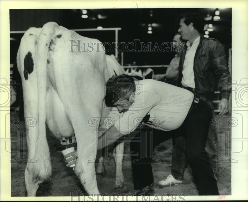 1990 Press Photo Madisonville Mayor Peter Gitz milks a cow during a contest - Historic Images