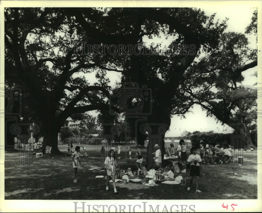 1989 Press Photo The Girl Scouts&#39;s Camp under the Packenham Oaks on St. Bernard - Historic Images