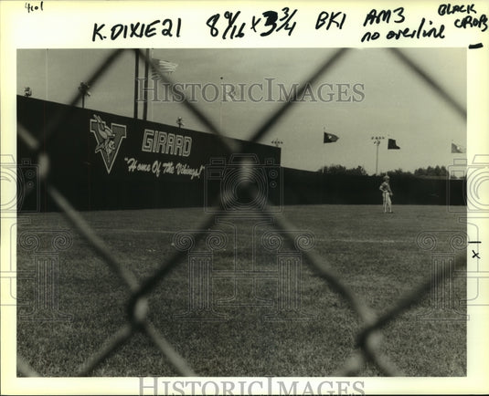 1990 Press Photo "Blue Monster" at Girard Playground Baseball stadium, Metairie - Historic Images
