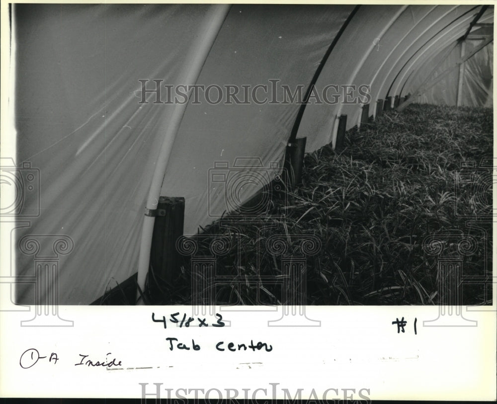 1990 Press Photo Nursery in Folsom, Louisiana - nob26859 - Historic Images