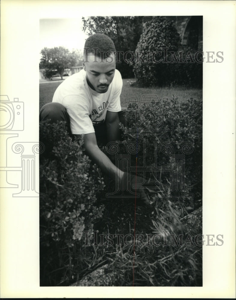 1991 Press Photo Student Randy Glapion weeds garden - nob27257 - Historic Images