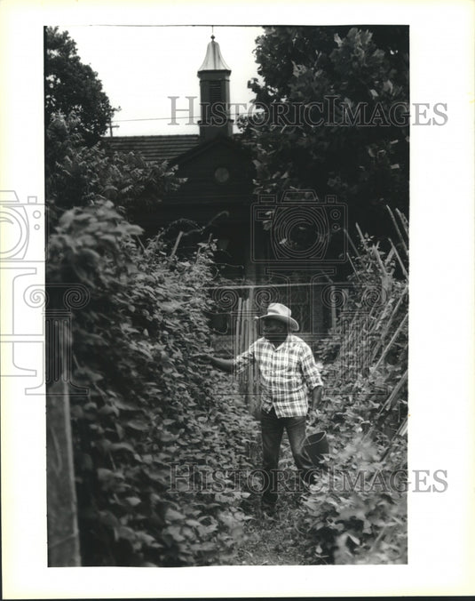 1995 Press Photo Clifton Haywood picks beans in Community Garden, Lafitte Ave. - Historic Images