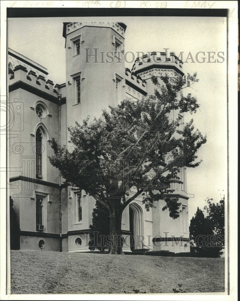 1979 Press Photo A tree stands near Old State Capitol in Baton Rouge - nob27613 - Historic Images