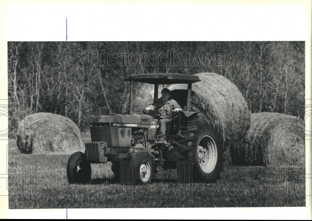 1990 Press Photo Troy Haley of Thompson Brothers Dairy picks up bales of hay - Historic Images