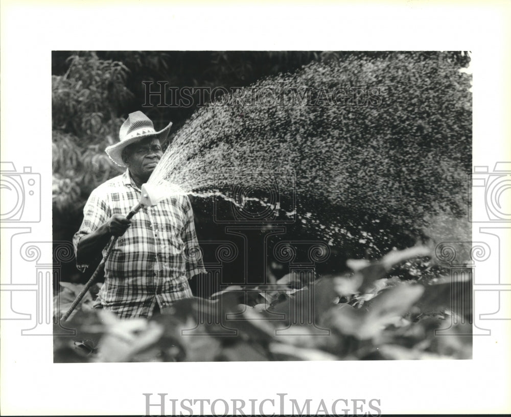 1995 Press Photo Cliton Haywood waters okra plants at the Community Garden - Historic Images