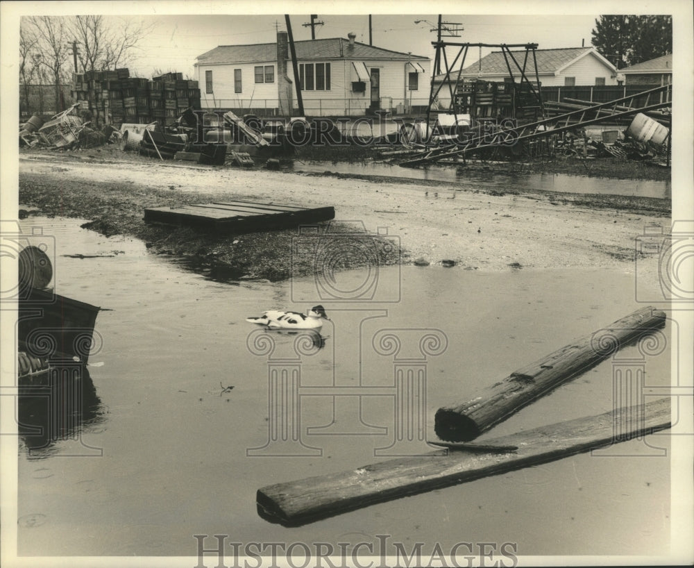 1966 Press Photo Dilapidated state of Hayne Boulevard - nob28173 - Historic Images