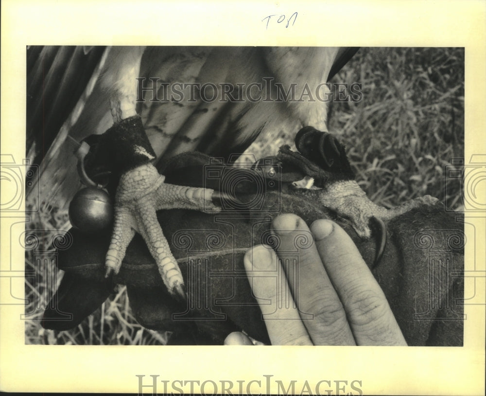 1992 Medusa's talons take the place of Di George's shotgun - Historic Images