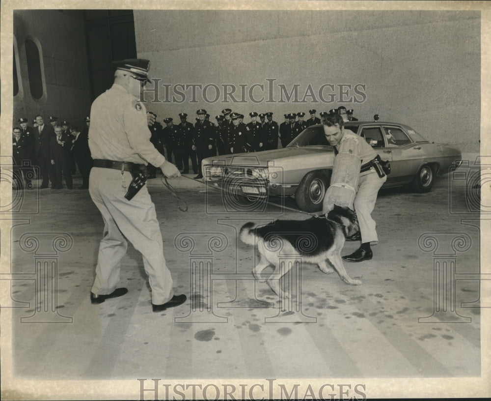 1971 Press Photo A Harbor Policeman shows of his police dog - nob30119 - Historic Images