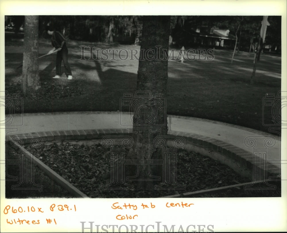 1993 Nick Hernandez in the yard of home plantation estate in Marrero - Historic Images