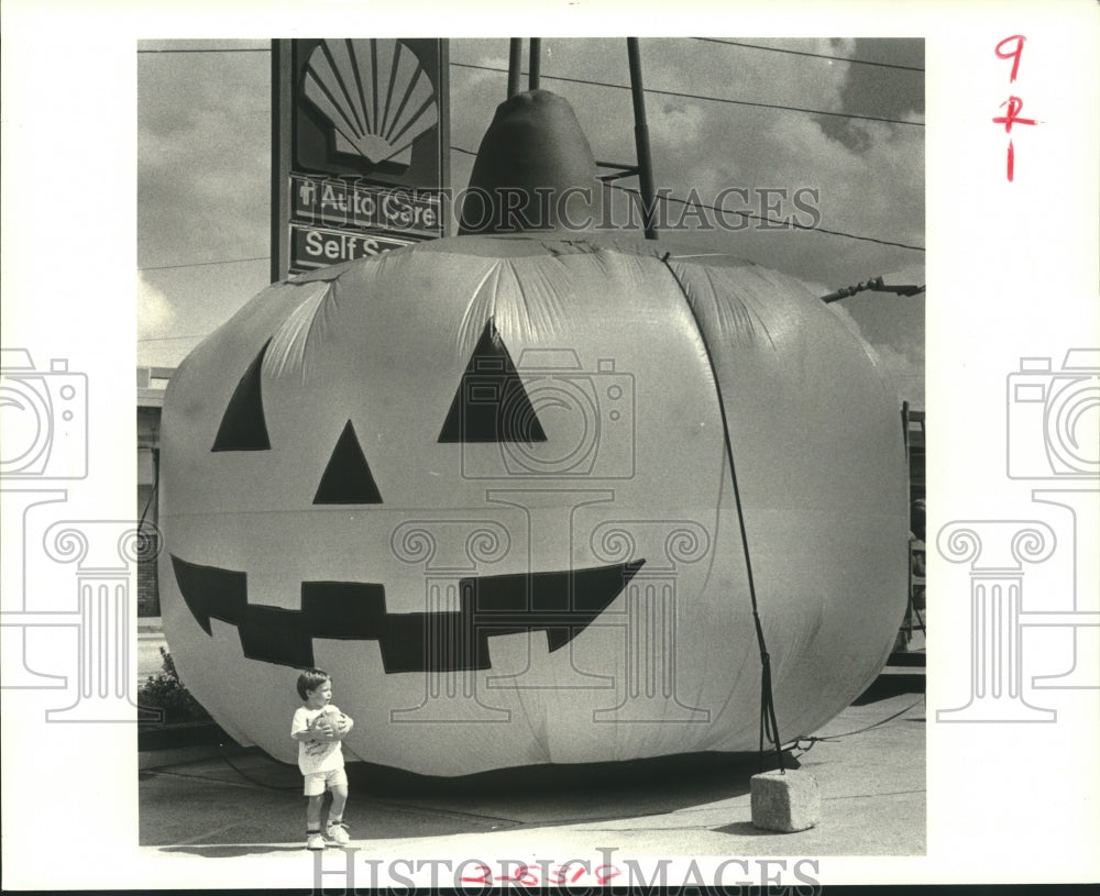 1988 Jonathan Bock besides giant pumpkin at Shell Station, Causeway - Historic Images