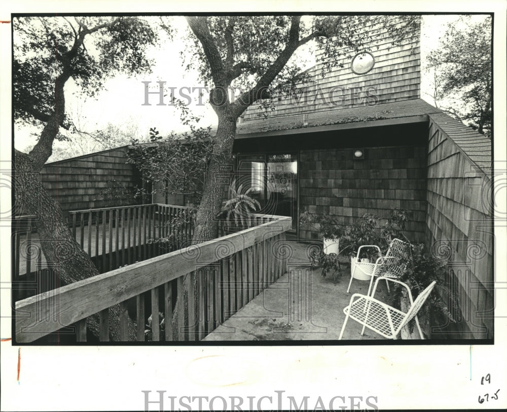 1986 Press Photo Oak trees surrounding the home of Imre and Karin Hegadus - Historic Images