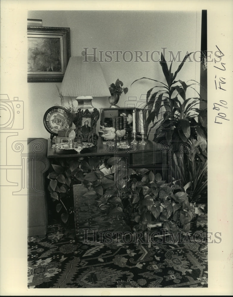 1990 Press Photo A large plant vine is used for decoration below a desk - Historic Images