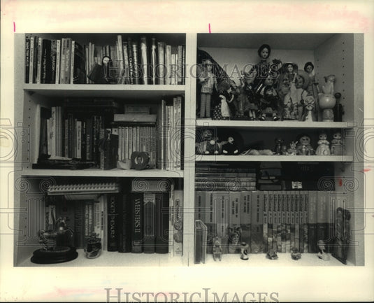 1988 Press Photo A bookcase can be an organizational tool in a kid's room. - Historic Images