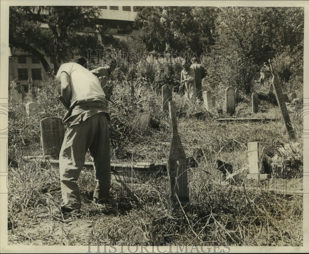 1966 Holt Cemetery - Historic Images