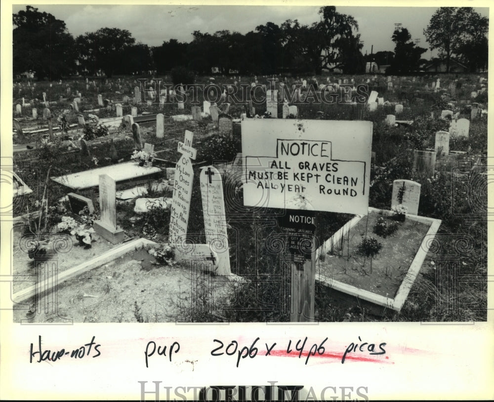 1991 Press Photo High weeds and disrepair at Holt Cemetery, 527 City Park Avenue - Historic Images