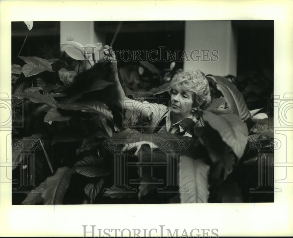 1990 Press Photo Loretta Moore, horticulturist for the Hilton Hotel. - nob35483 - Historic Images